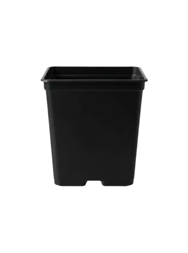 sadbovy_kontajner_P7