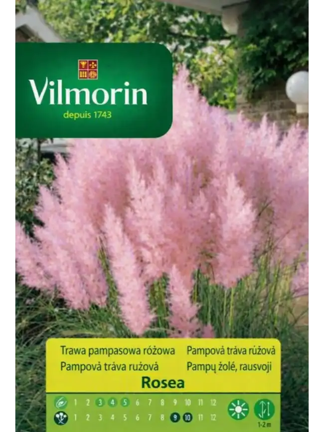 okrasna_pampova_trava_